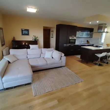 Luxury Apartment