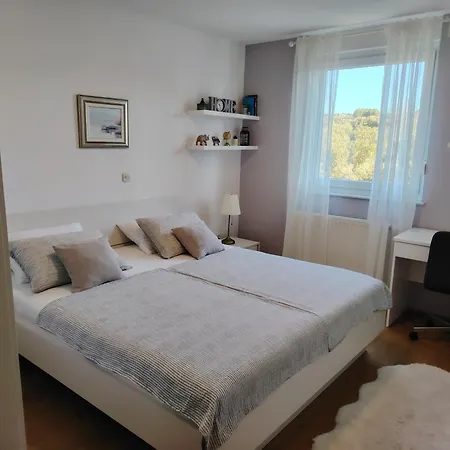 Luxury Apartment